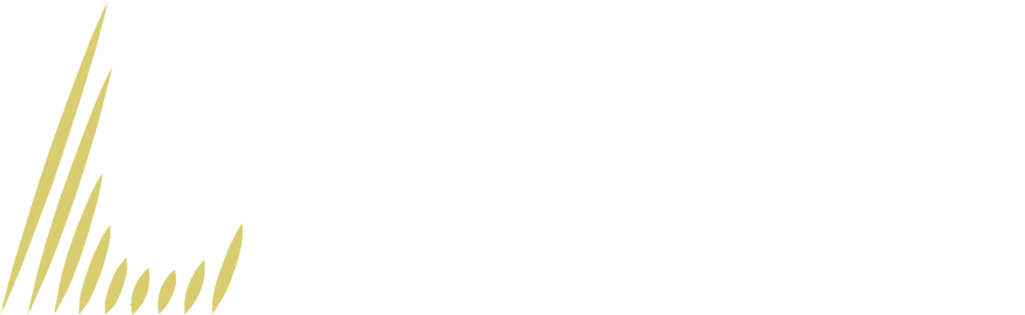 Производитель светотехнического оборудования в России